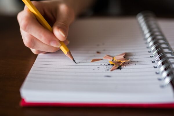 Study's book - Image 6