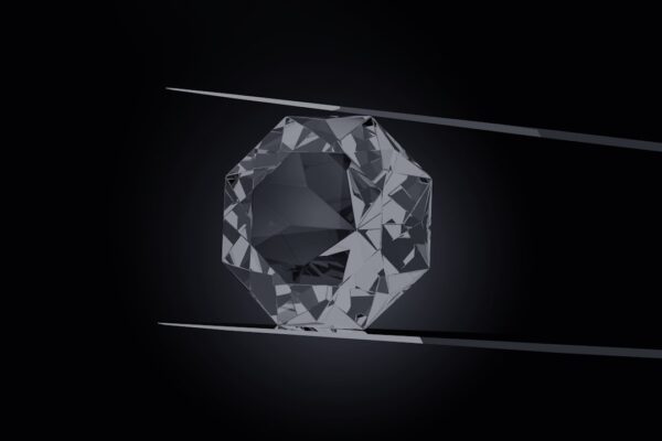 Study's book - Image 5
